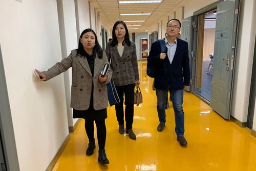 以評(píng)促建，守護(hù)心靈成長(zhǎng)——省委教育工委專家組蒞臨我院開(kāi)展心理健康教育與咨詢中心標(biāo)準(zhǔn)化驗(yàn)收工作